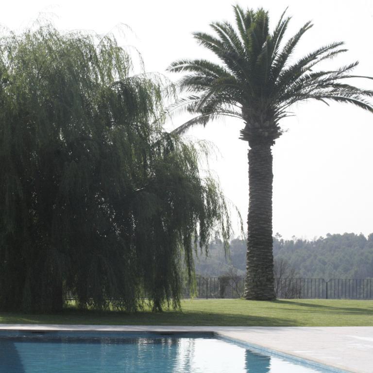 Hotel Mas Oliveres Pla De Palau Llers Luaran gambar